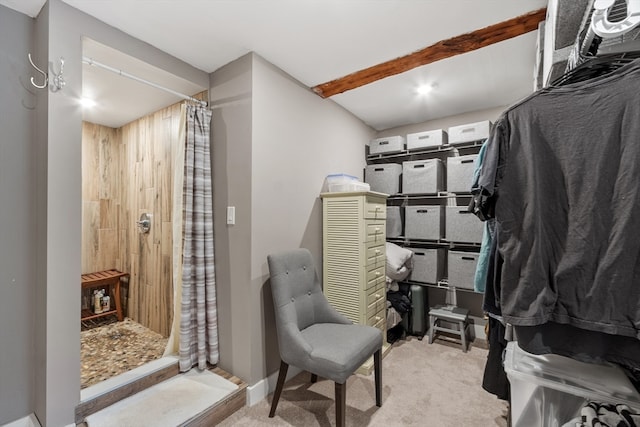 walk in closet with light carpet