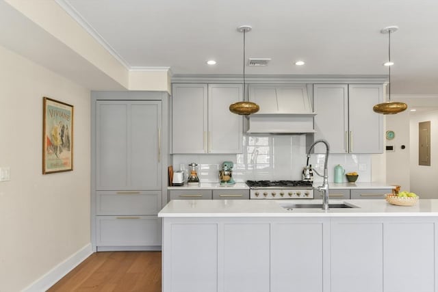 440 Cambridge St Unit 2, Cambridge, MA 02141 - kitchen featuring a sink, light countertops, custom range hood, baseboards, and gray cabinetry
