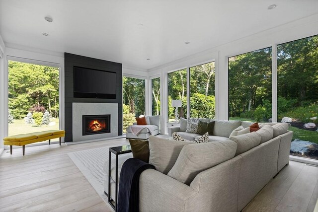 interior space featuring plenty of natural light and wood finished floors