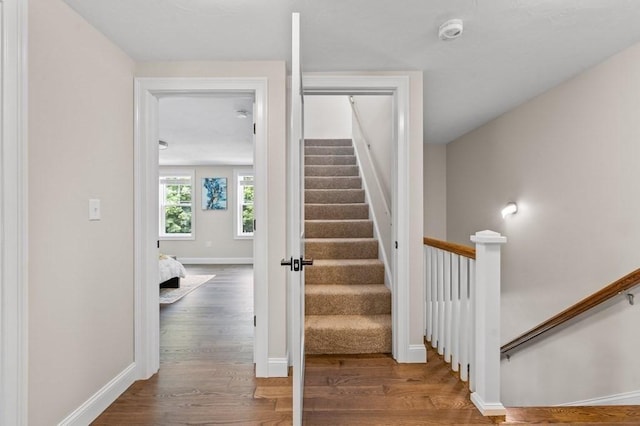 staircase with hardwood / wood-style floors