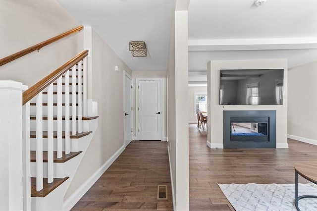 foyer entrance featuring dark wood-type flooring