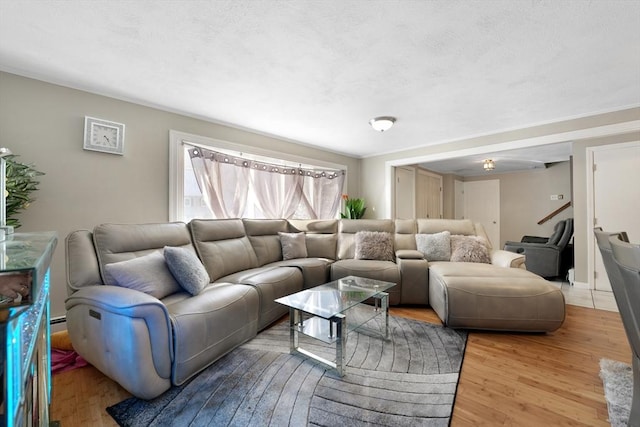 living room featuring hardwood / wood-style flooring