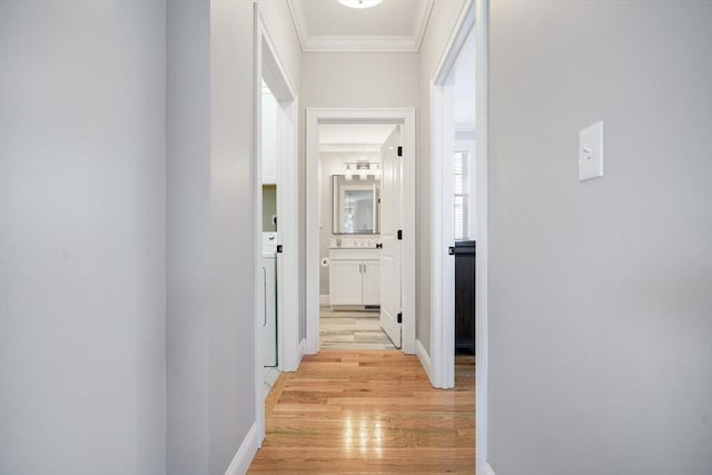 57 Sophia Dr, Rehoboth, MA 02769 - corridor with baseboards, ornamental molding, and light wood-type flooring
