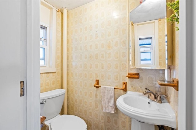 112 Lawrence St, Fitchburg, MA 01420 - half bathroom with toilet, healthy amount of natural light, a sink, and wallpapered walls