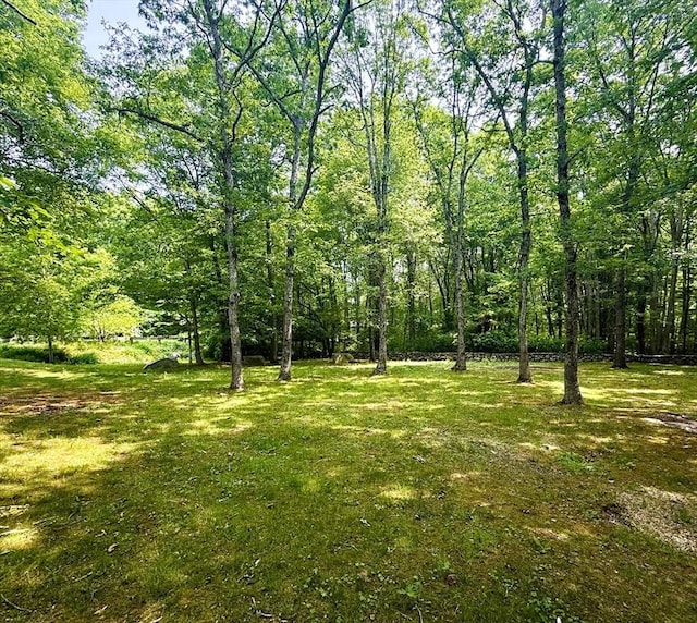 6 Debbie Ln, Freetown, MA 02702 - view of green lawn featuring a wooded view