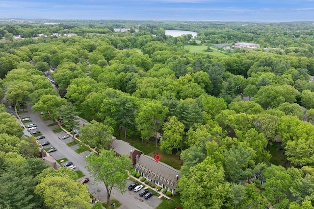 119 Wellman Ave Unit 119, Chelmsford, MA 01863 - drone / aerial view of a heavily wooded area and a large body of water