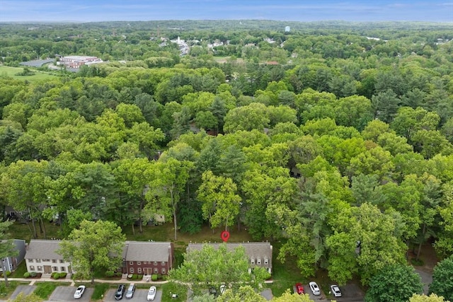 119 Wellman Ave Unit 119, Chelmsford, MA 01863 - aerial view of a heavily wooded area