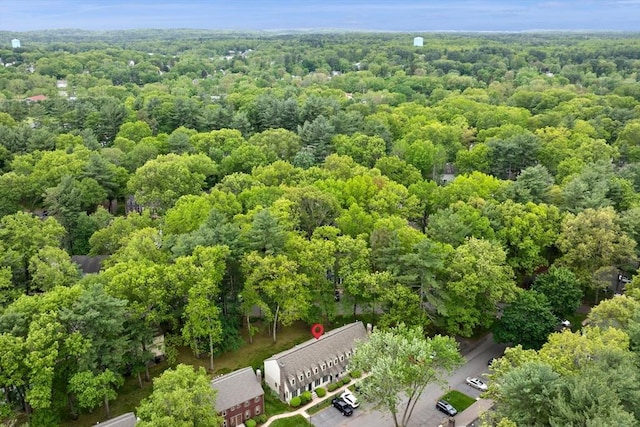 119 Wellman Ave Unit 119, Chelmsford, MA 01863 - bird's eye view of a forest
