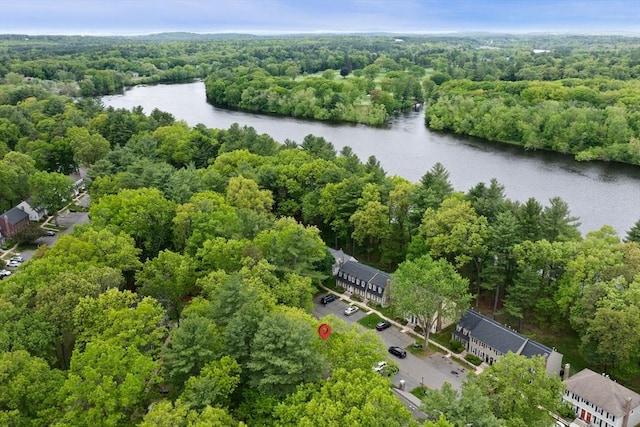 119 Wellman Ave Unit 119, Chelmsford, MA 01863 - aerial view of a large body of water and a forest