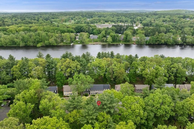 119 Wellman Ave Unit 119, Chelmsford, MA 01863 - aerial view of a large body of water and a forest