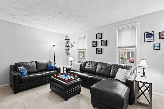 119 Wellman Ave Unit 119, Chelmsford, MA 01863 - living room featuring light carpet, a textured ceiling, and baseboards