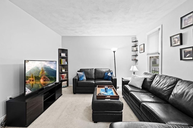 119 Wellman Ave Unit 119, Chelmsford, MA 01863 - view of carpeted living area