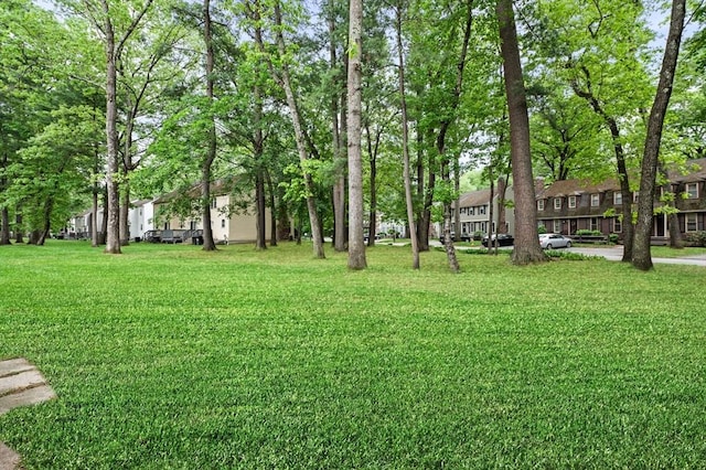 119 Wellman Ave Unit 119, Chelmsford, MA 01863 - view of grassy yard with a residential view