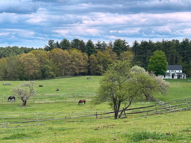 view of community featuring a rural view