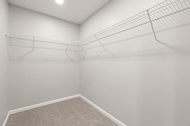 walk in closet with carpet
