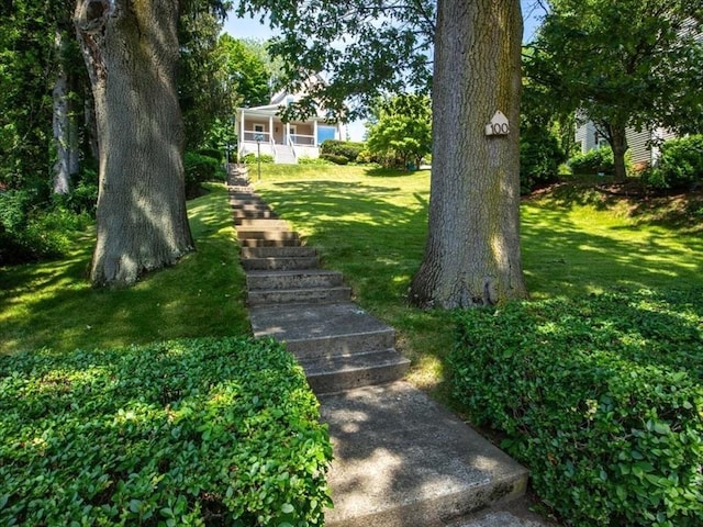 100 Williams Ave, Boston, MA 02136 - view of grassy yard with stairway