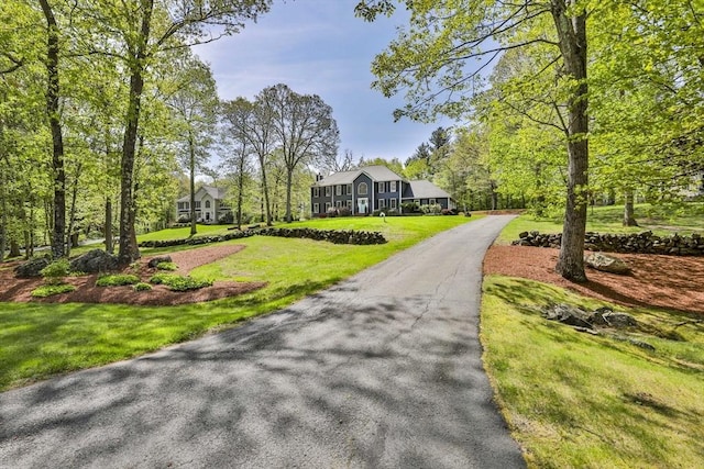 view of property's community featuring a yard and driveway