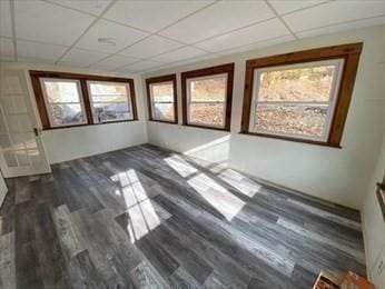 spare room featuring dark hardwood / wood-style floors, a drop ceiling, and a healthy amount of sunlight