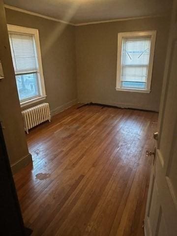 interior space with radiator and wood-type flooring