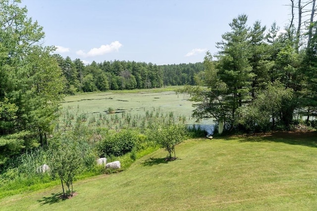 9 Old Poor Farm Rd, Ware, MA 01082 - view of green lawn featuring a forest view