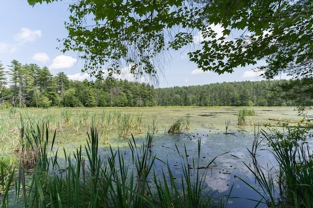 9 Old Poor Farm Rd, Ware, MA 01082 - view of tree filled area featuring a water view