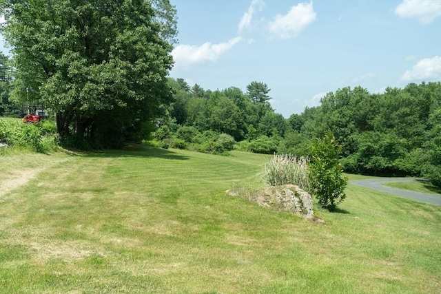 9 Old Poor Farm Rd, Ware, MA 01082 - view of grassy yard