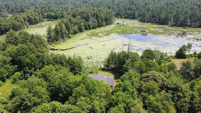 9 Old Poor Farm Rd, Ware, MA 01082 - aerial view of a forest
