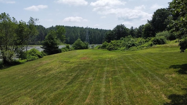 9 Old Poor Farm Rd, Ware, MA 01082 - view of green lawn with a view of trees