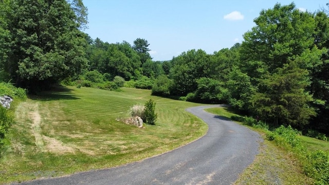 9 Old Poor Farm Rd, Ware, MA 01082 - view of asphalt road