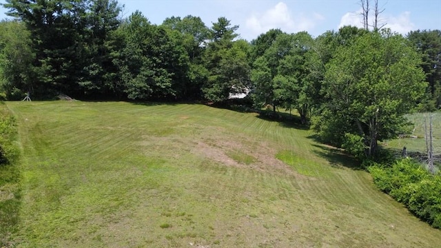 9 Old Poor Farm Rd, Ware, MA 01082 - view of green lawn