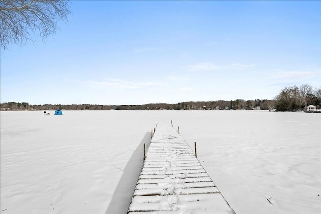 view of dock