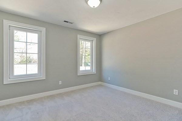 carpeted empty room featuring plenty of natural light