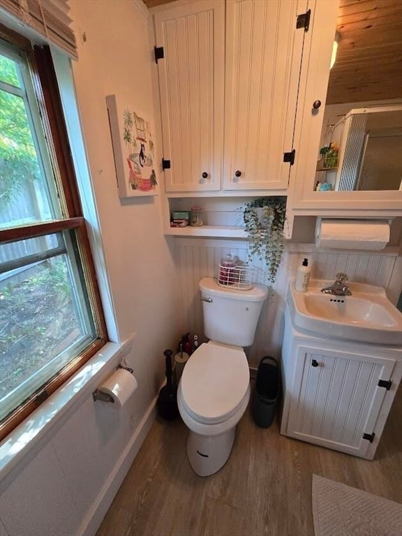 bathroom featuring toilet, hardwood / wood-style floors, and vanity