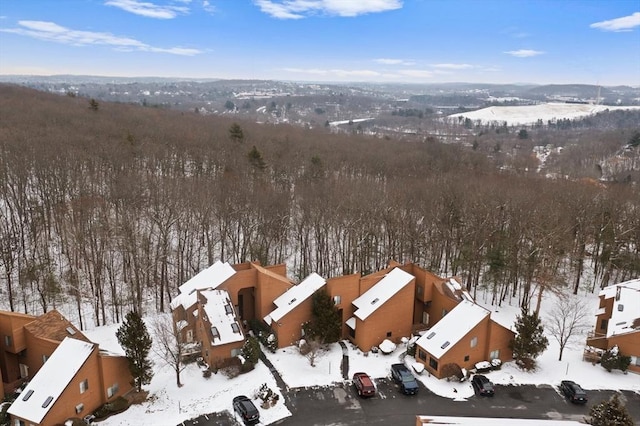 view of snowy aerial view