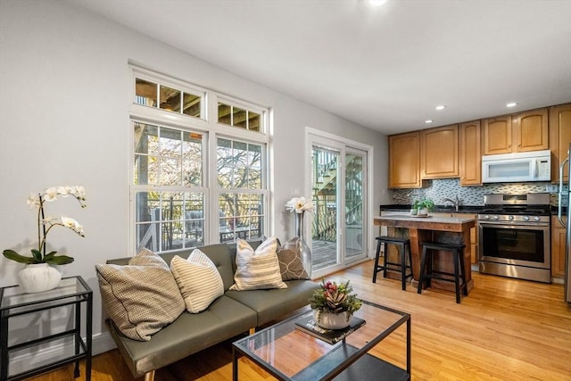 living room featuring a healthy amount of sunlight and light hardwood / wood-style floors