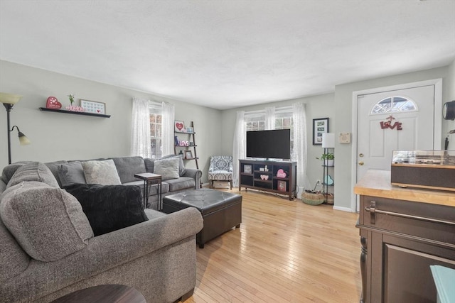 living room with light hardwood / wood-style flooring