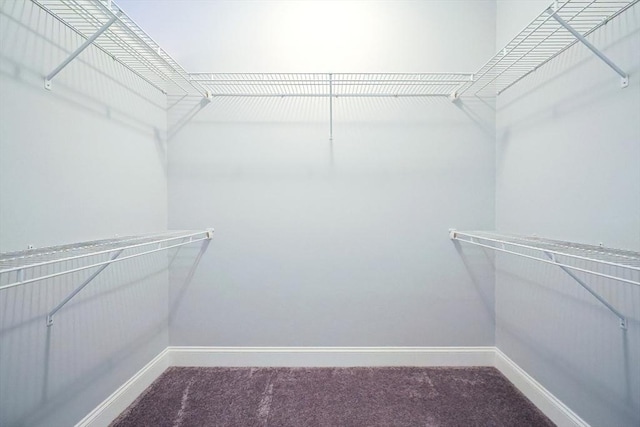 walk in closet featuring carpet