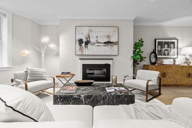 407 Shawmut Ave Unit 1, Boston, MA 02118 - living room with wood finished floors, crown molding, and a glass covered fireplace