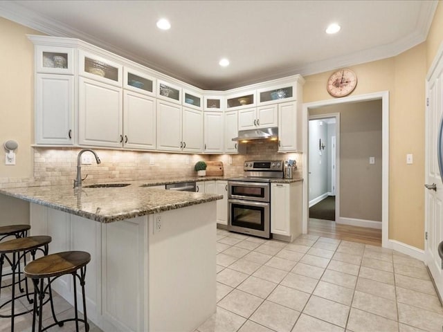26 Silver Brook Ln Unit 26, Norwell, MA 02061 - kitchen featuring stainless steel appliances, under cabinet range hood, a peninsula, a kitchen breakfast bar, and decorative backsplash