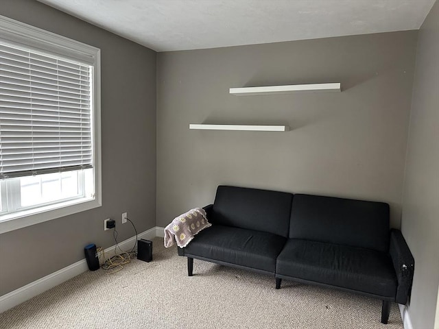 83C Maple Ave Unit C, Rutland, MA 01543 - sitting room with carpet floors and baseboards
