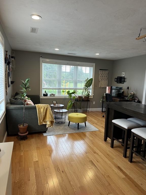 83C Maple Ave Unit C, Rutland, MA 01543 - living room featuring plenty of natural light, light wood-style flooring, and recessed lighting