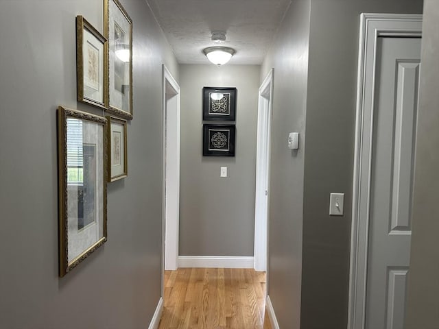 83C Maple Ave Unit C, Rutland, MA 01543 - corridor with light wood-type flooring and baseboards