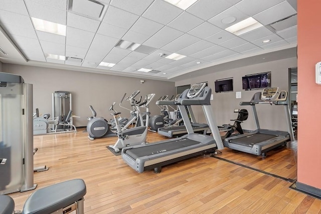 gym with a drop ceiling and hardwood / wood-style flooring