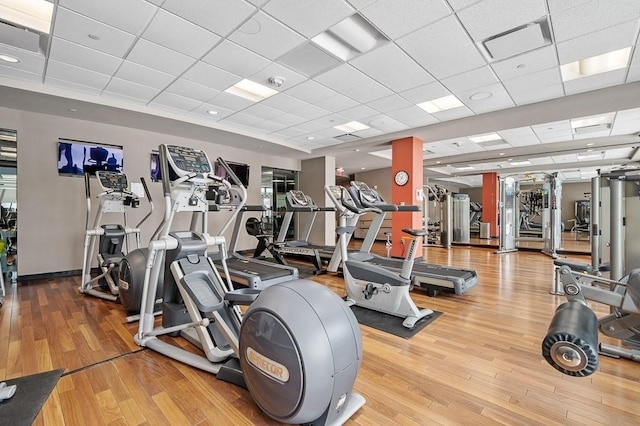 exercise room with a drop ceiling and light hardwood / wood-style floors