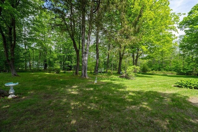 9 Eaton St, Gardner, MA 01440 - view of green lawn