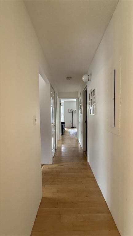 66 Winchester St Phb, Phb, Brookline, MA 02446 - hall with light wood finished floors