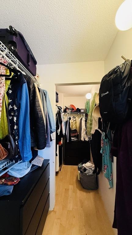 66 Winchester St Phb, Phb, Brookline, MA 02446 - walk in closet with light wood-type flooring