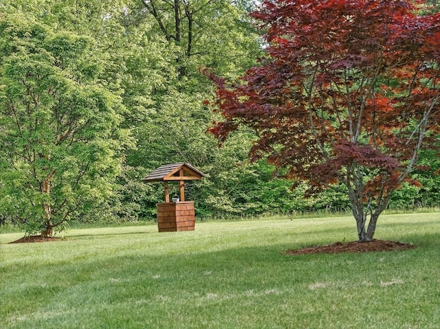 4 Paddock Rd, Rutland, MA 01543 - view of grassy yard with a wooded view