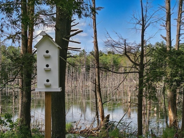 4 Paddock Rd, Rutland, MA 01543 - water view featuring a heavily wooded area