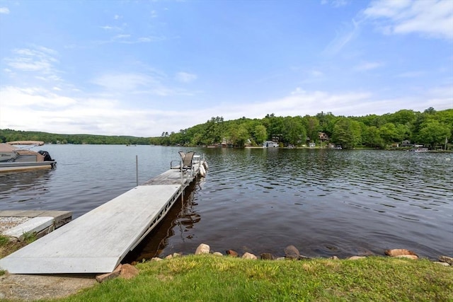 35 Island Rd, Holland, MA 01521 - dock area with a water view